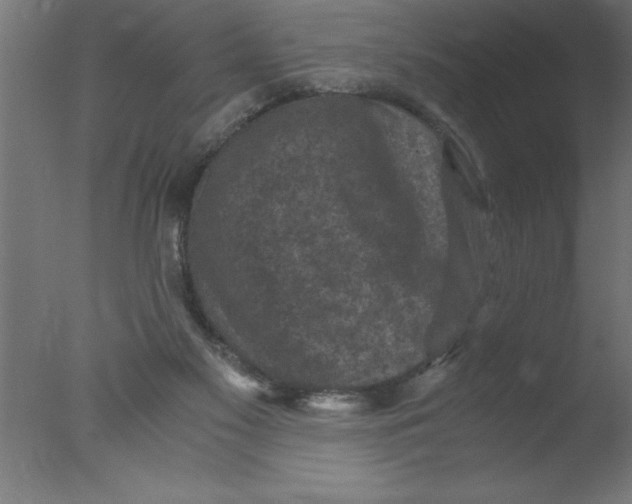 X0000076030117200610201837