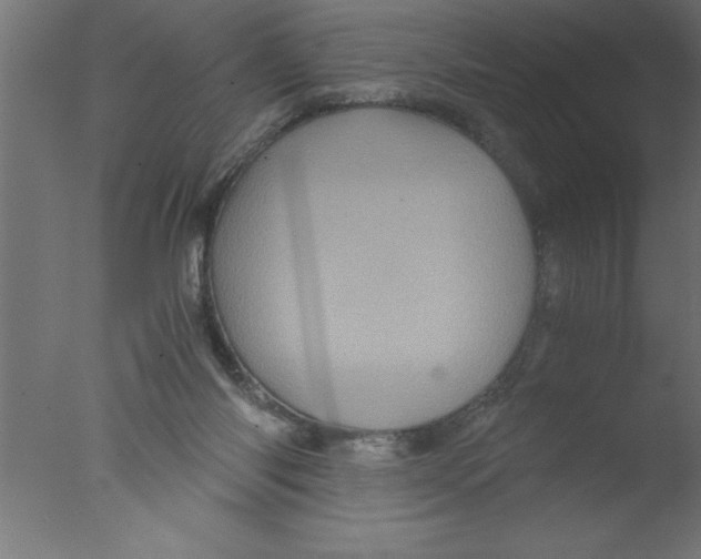 X0000076030118200610201837