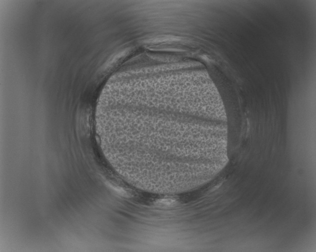 X0000076030119200610201837