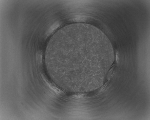 X0000076030120200610201837