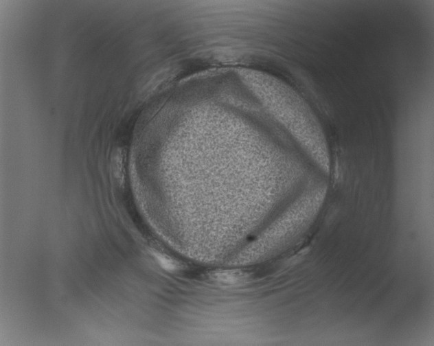 X0000076030121200610201837