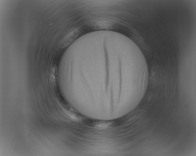 X0000076030122200610201837