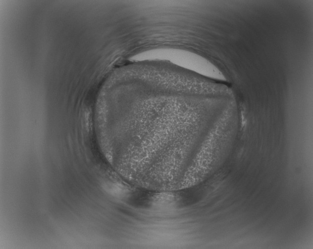 X0000076030123200610201837