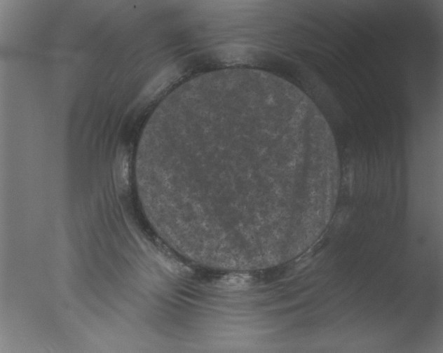 X0000076030124200610201837