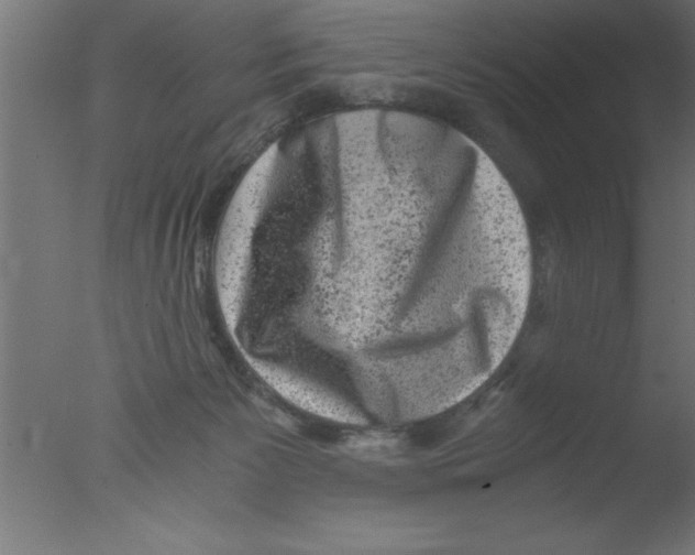 X0000076030125200610201837