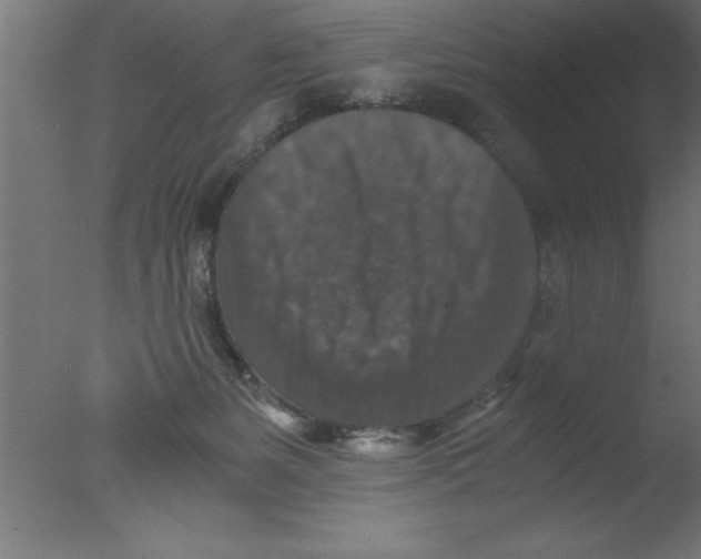 X0000076030127200610201837