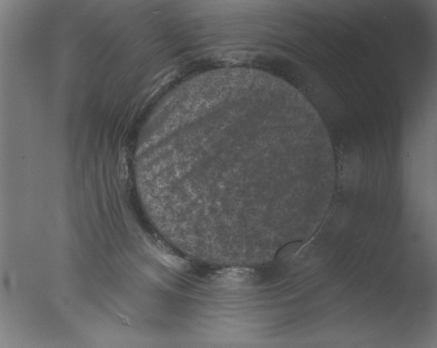 X0000076030128200610201837