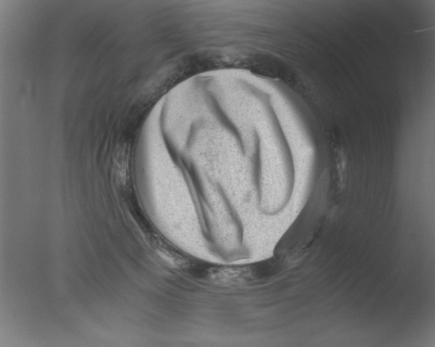 X0000076030129200610201837