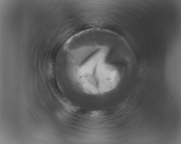 X0000076030130200610201837