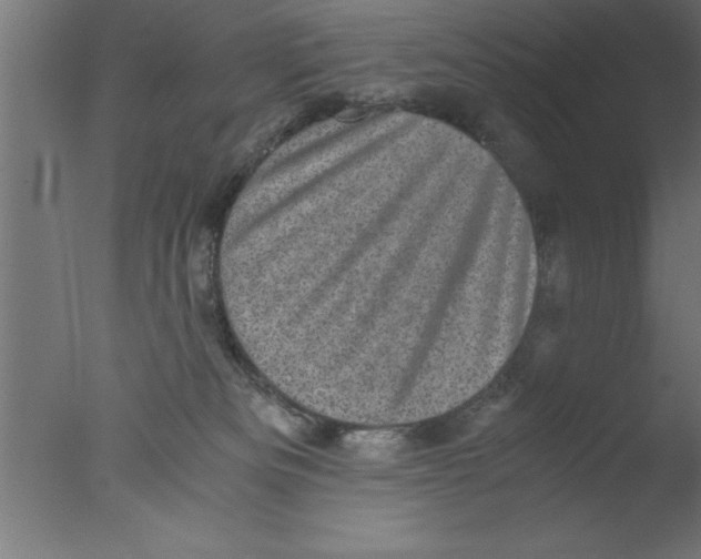 X0000076030133200610201837