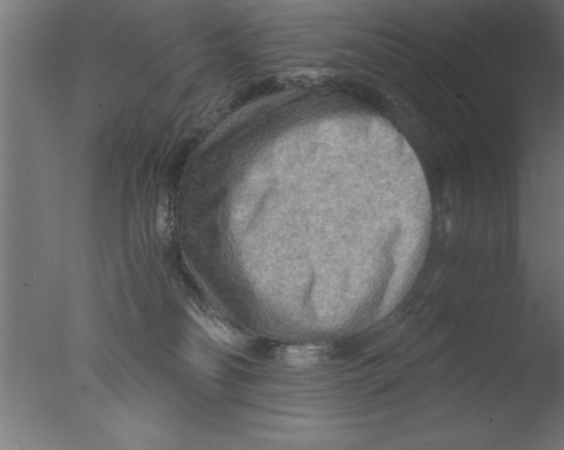 X0000076030134200610201837