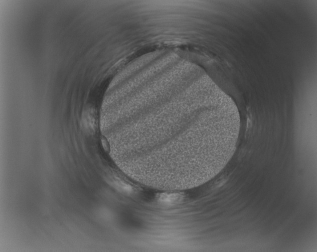 X0000076030135200610201837