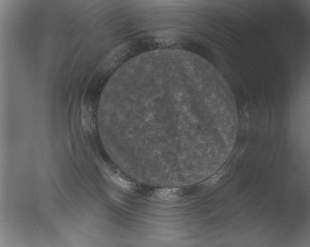 X0000076030136200610201837