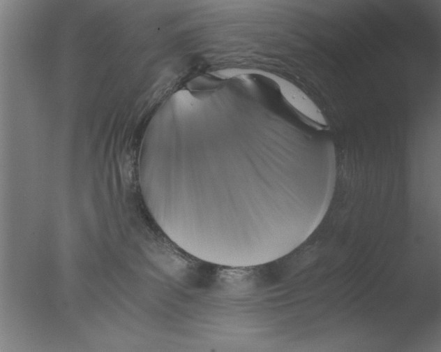 X0000076030139200610201837