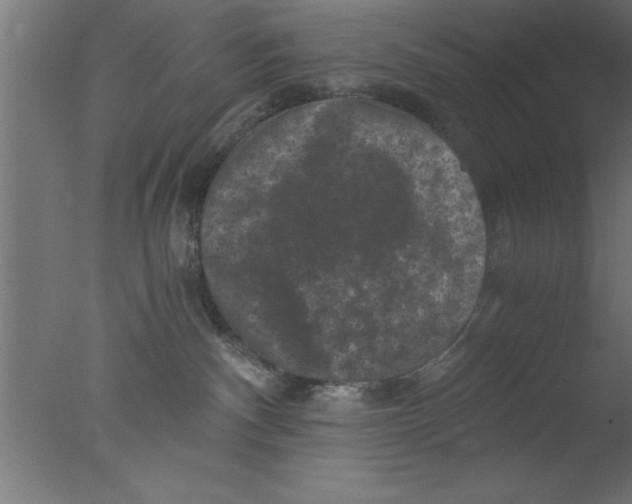 X0000076030140200610201837