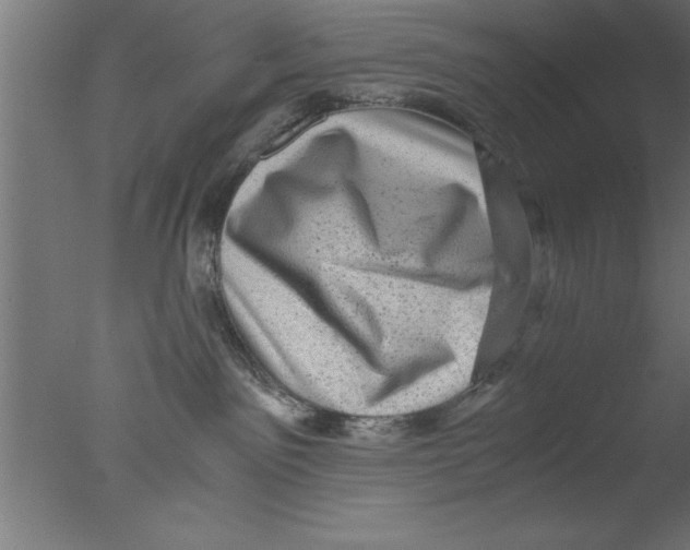 X0000076030141200610201837