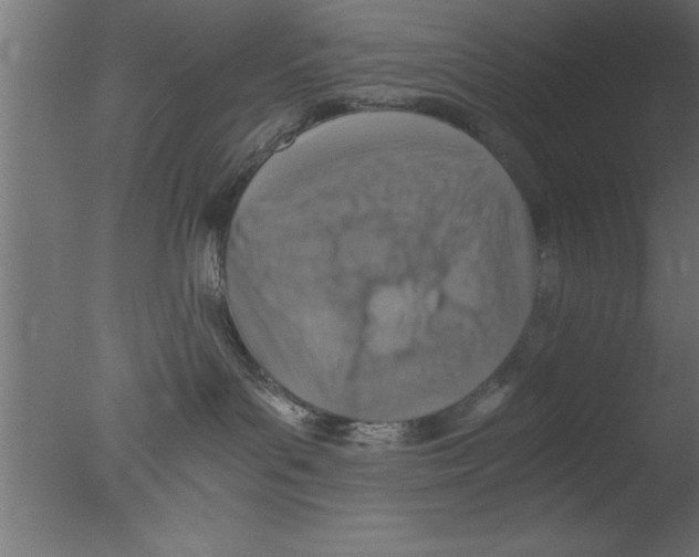 X0000076030143200610201837