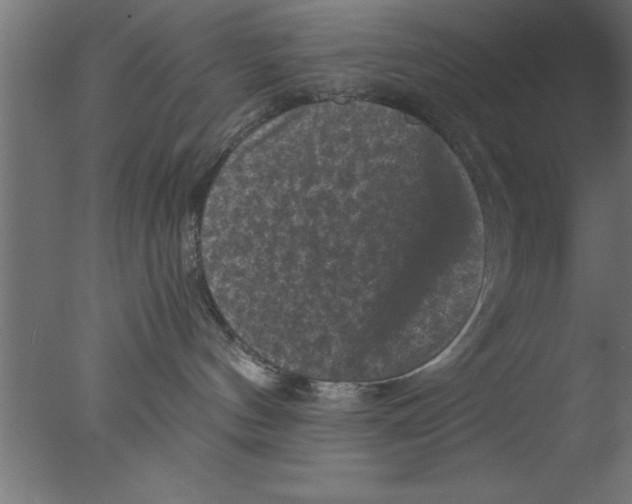 X0000076030144200610201837