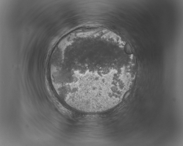 X0000076030145200610201836