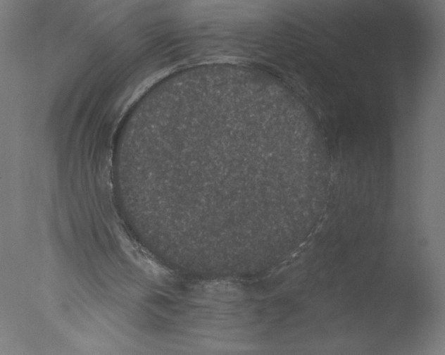 X0000076030146200610201836