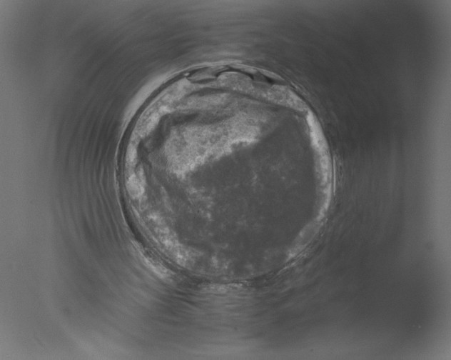 X0000076030147200610201836