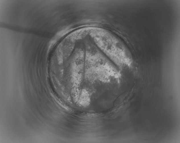 X0000076030149200610201836