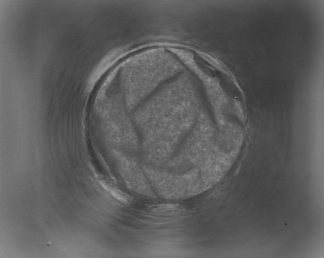 X0000076030151200610201836