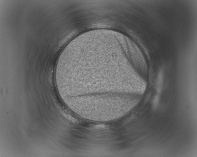 X0000076030153200610201836