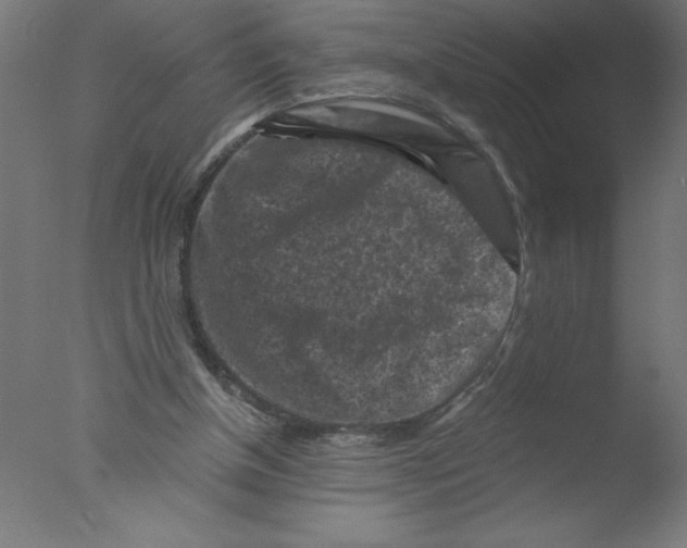 X0000076030154200610201836