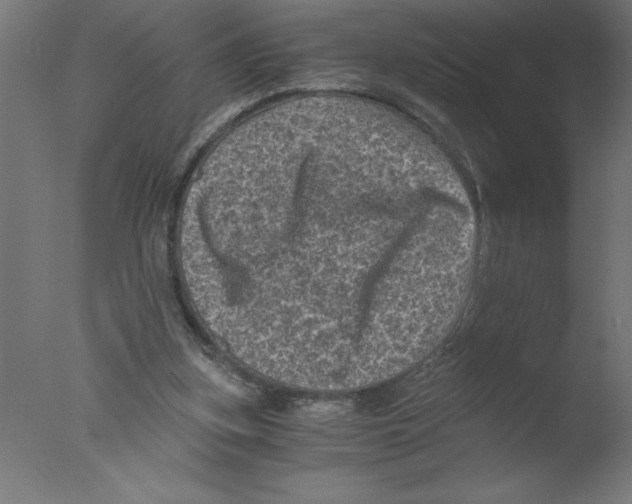 X0000076030155200610201836