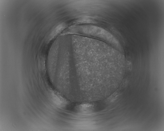 X0000076030158200610201836