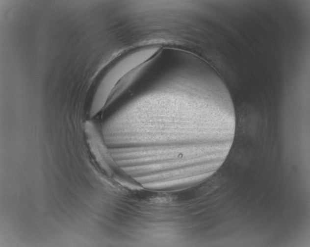 X0000076030160200610201836