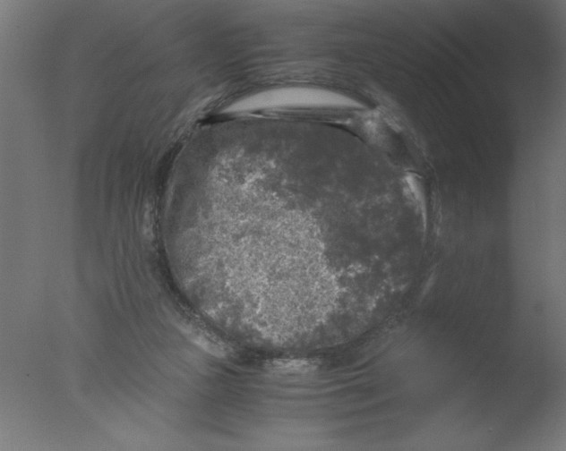 X0000076030161200610201836