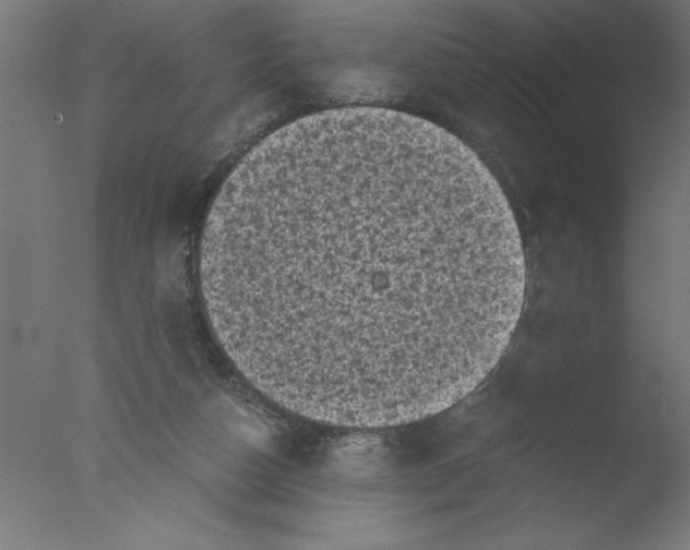 X0000076030162200610201836