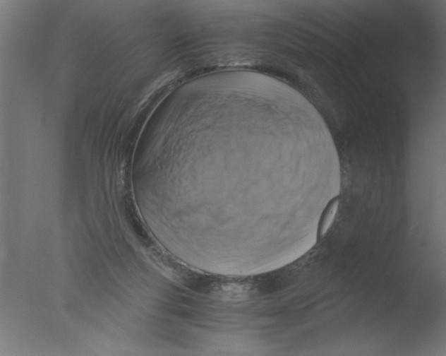 X0000076030163200610201836