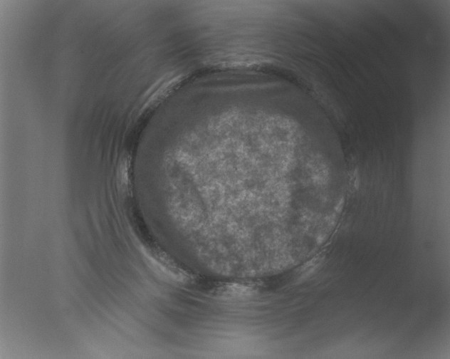 X0000076030166200610201836