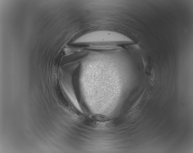 X0000076030172200610201836