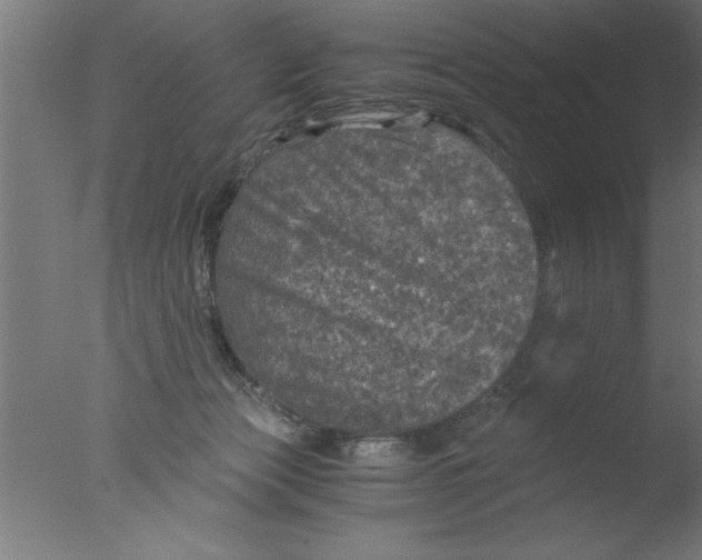 X0000076030173200610201836