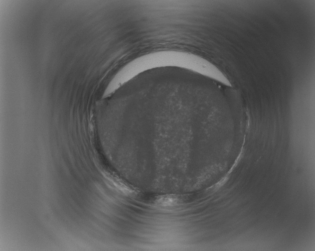 X0000076030174200610201836