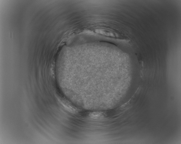 X0000076030175200610201836