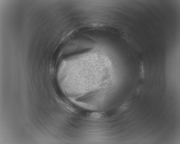 X0000076030176200610201837