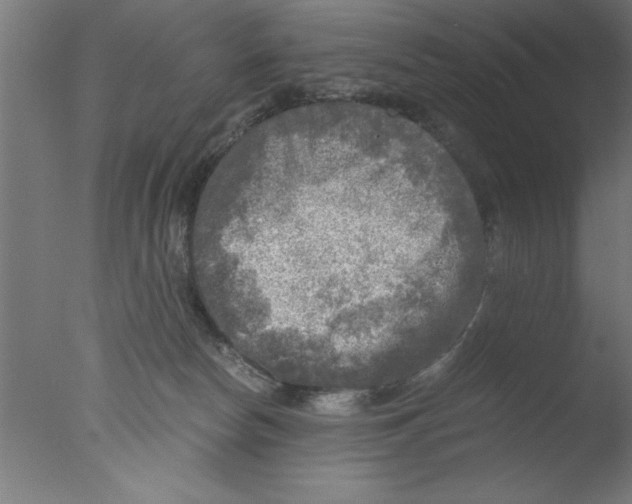 X0000076030178200610201837