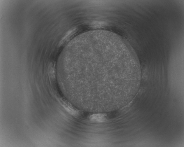 X0000076030179200610201837