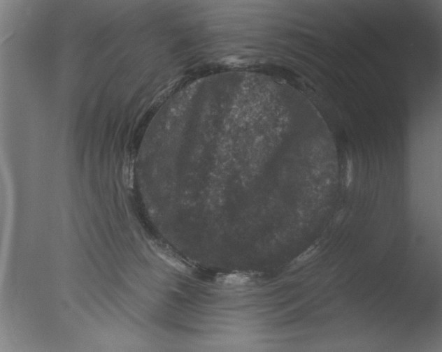 X0000076030180200610201837