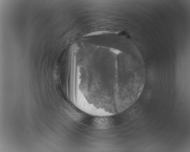 X0000076030181200610201837