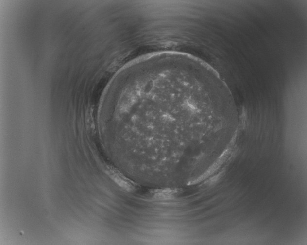 X0000076030182200610201837