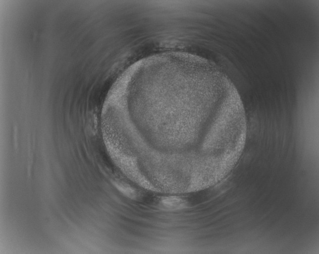 X0000076030183200610201837