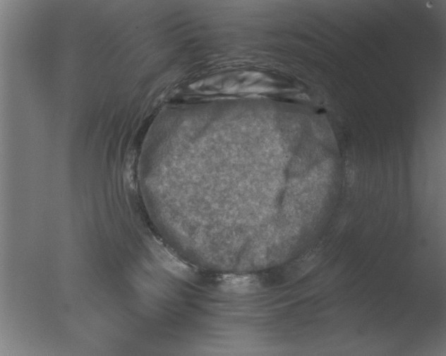 X0000076030185200610201837