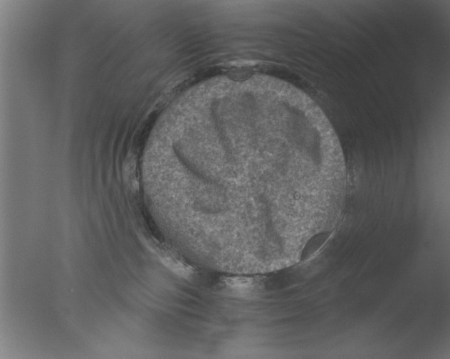 X0000076030187200610201837