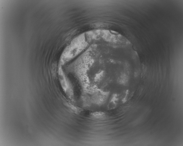 X0000076030189200610201837